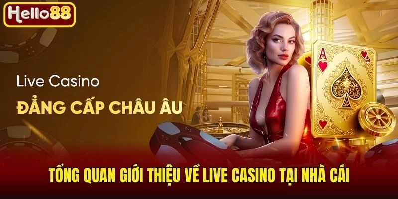 Tổng quan giới thiệu về live casino tại nhà cái